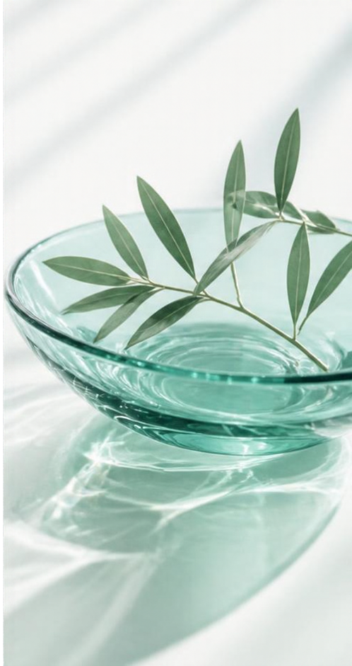 Glasschale mit grünem Zweig und Lichtreflexionen